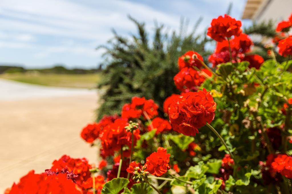 Cottages For Couples Port Fairy Luaran gambar